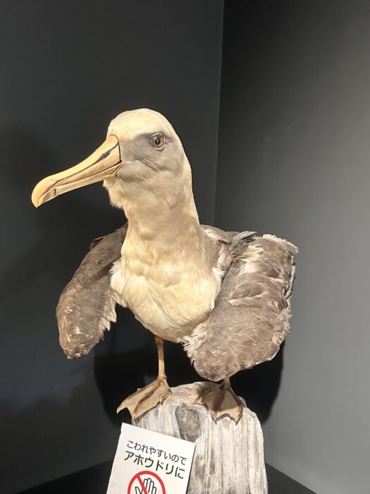 画像に alt 属性が指定されていません。ファイル名: IMG_8256-525x700.jpeg